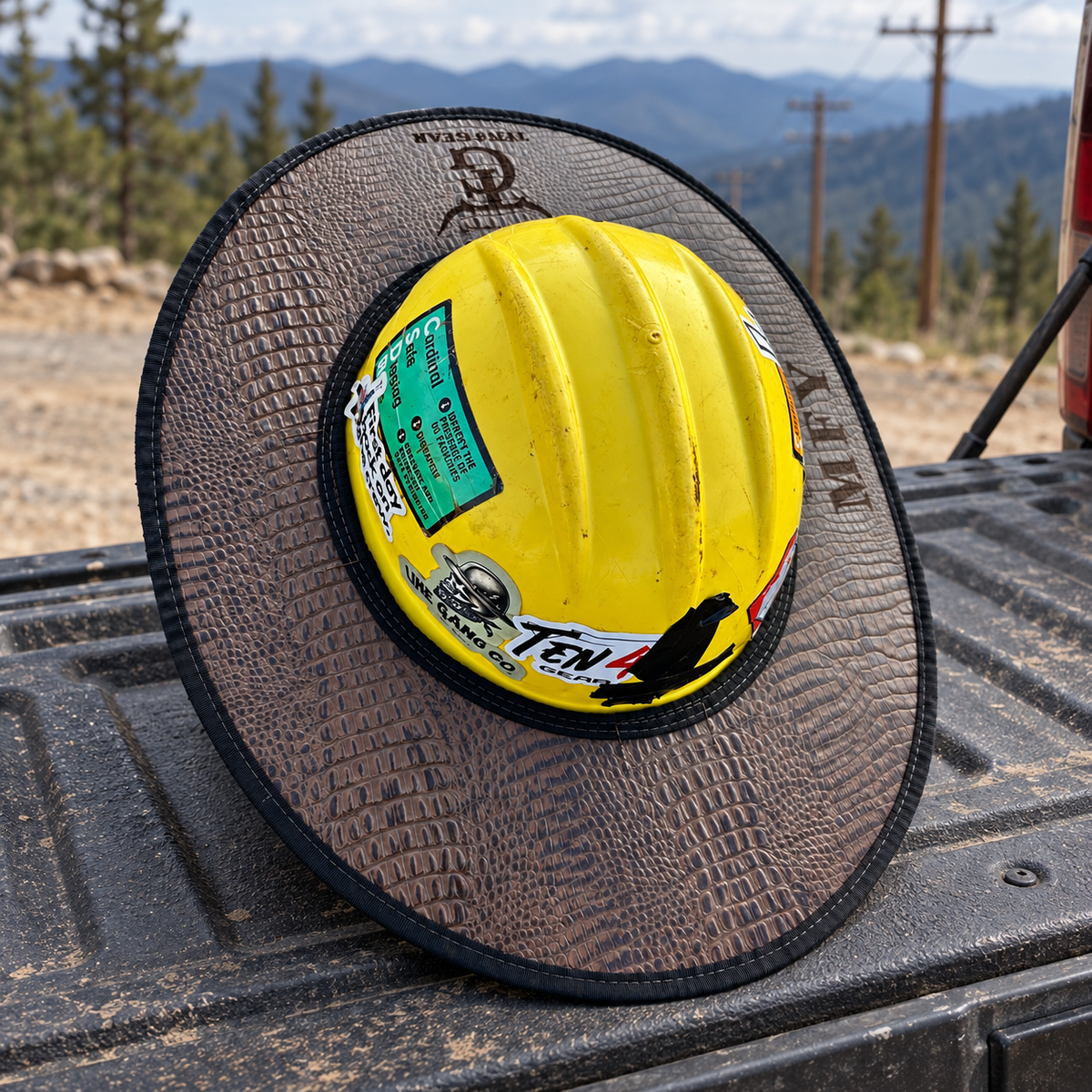 Mocha gator sunshade on a pickup tailgate beside a powerline right-of-way